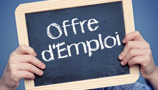 Recherche animateurs pour l'été