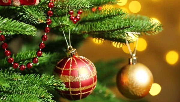 Le programme des vacances de Noël 2025