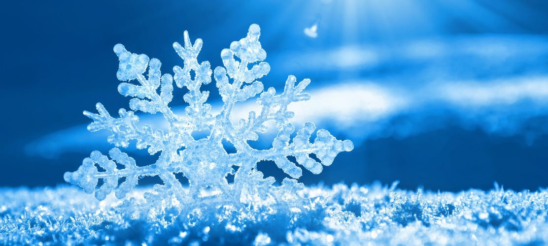 Le programme des mercredis de janvier à février 2026