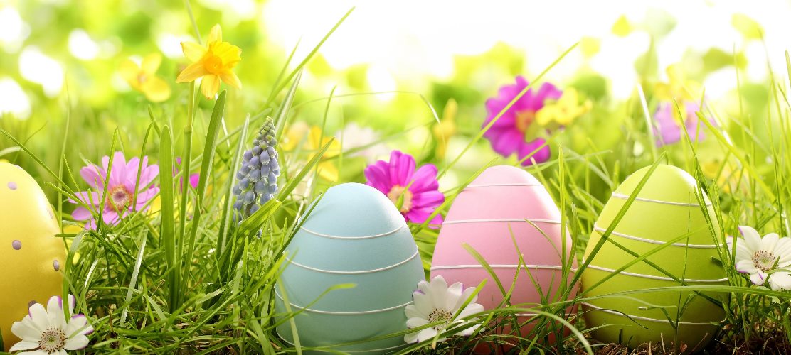 Le programme des vacances de Pâques 2026