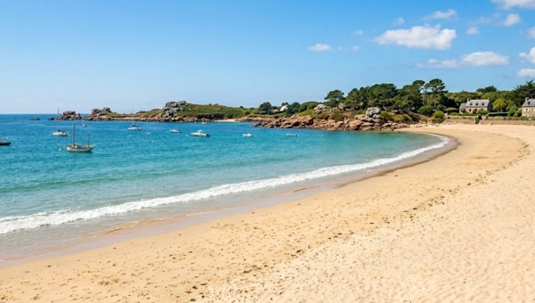 Le programme des vacances d'été 2026